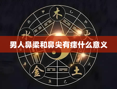 男人鼻梁和鼻尖有痣什么意义