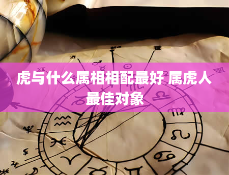虎与什么属相相配最好 属虎人最佳对象