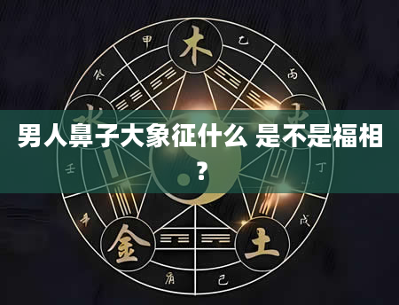男人鼻子大象征什么 是不是福相？