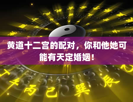 黄道十二宫的配对，你和他她可能有天定婚姻！