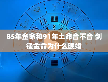 85年金命和91年土命合不合 剑锋金命为什么晚婚