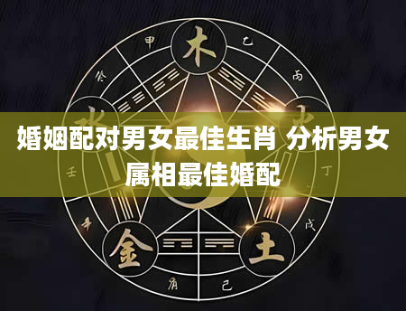 婚姻配对男女最佳生肖 分析男女属相最佳婚配