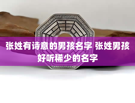 张姓有诗意的男孩名字 张姓男孩好听稀少的名字