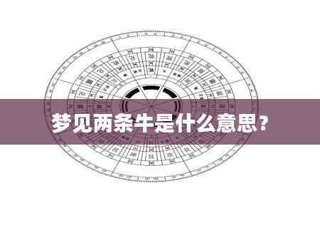 梦见两条牛是什么意思？