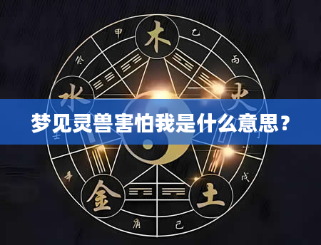 梦见灵兽害怕我是什么意思？