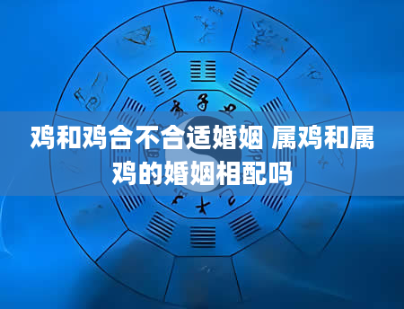 鸡和鸡合不合适婚姻 属鸡和属鸡的婚姻相配吗