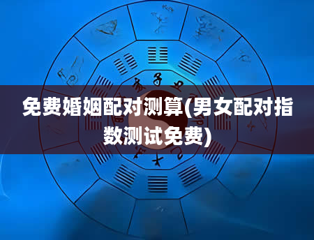 免费婚姻配对测算(男女配对指数测试免费)
