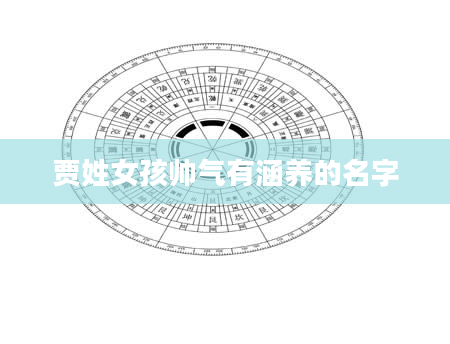 贾姓女孩帅气有涵养的名字