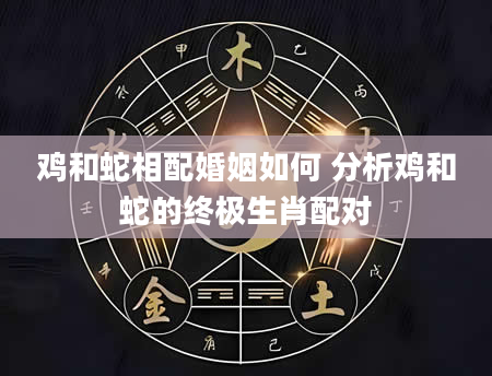 鸡和蛇相配婚姻如何 分析鸡和蛇的终极生肖配对