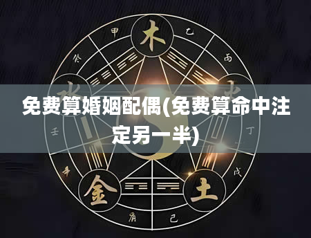免费算婚姻配偶(免费算命中注定另一半)