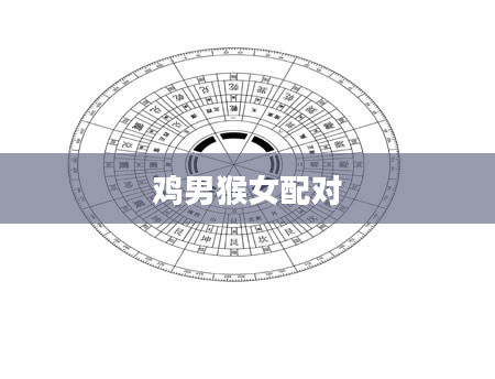 鸡男猴女配对
