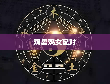 鸡男鸡女配对