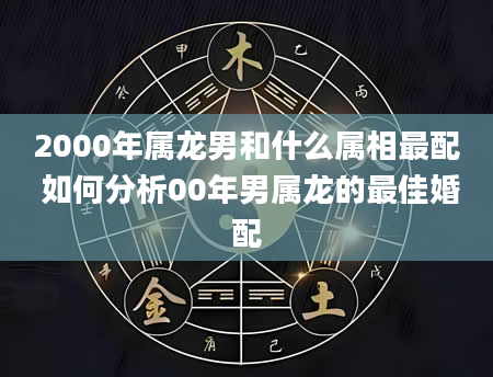2000年属龙男和什么属相最配 如何分析00年男属龙的最佳婚配