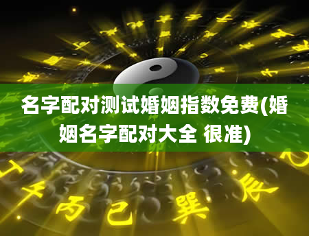 名字配对测试婚姻指数免费(婚姻名字配对大全 很准)