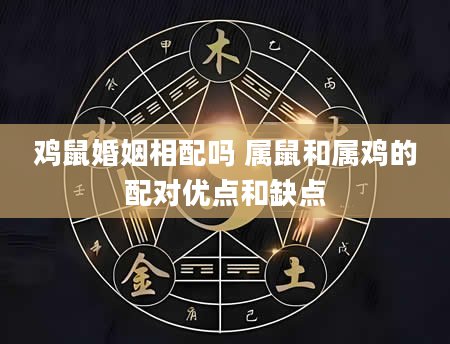 鸡鼠婚姻相配吗 属鼠和属鸡的配对优点和缺点