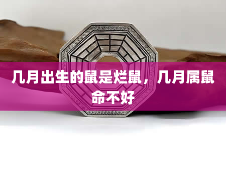 几月出生的鼠是烂鼠，几月属鼠命不好