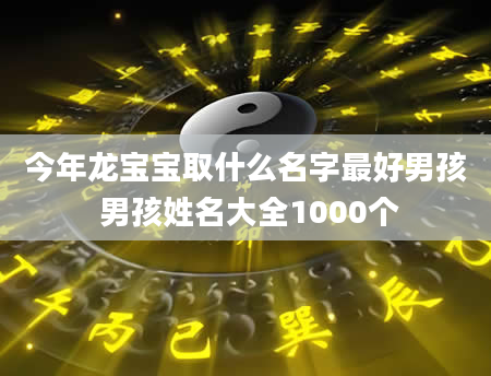 今年龙宝宝取什么名字最好男孩 男孩姓名大全1000个