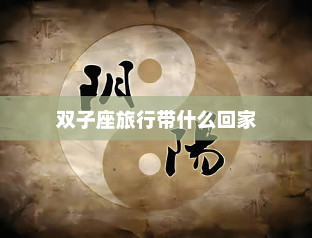 双子座旅行带什么回家