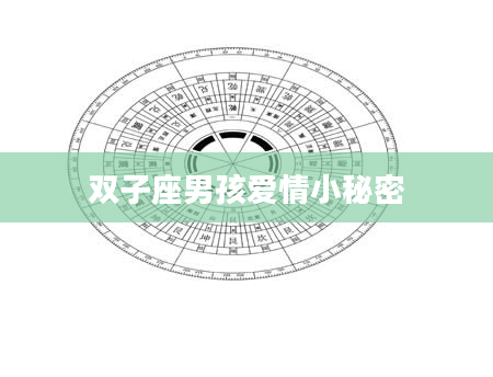 双子座男孩爱情小秘密