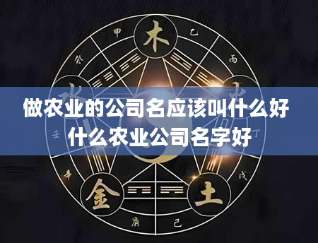 做农业的公司名应该叫什么好 什么农业公司名字好