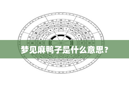 梦见麻鸭子是什么意思？