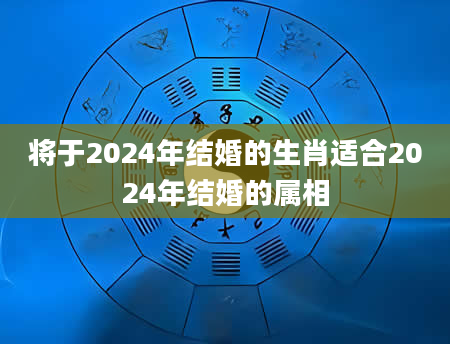 将于2024年结婚的生肖适合2024年结婚的属相