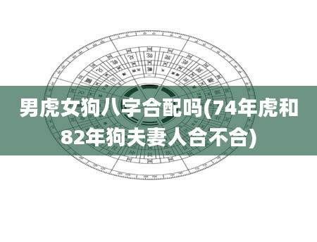 男虎女狗八字合配吗(74年虎和82年狗夫妻人合不合)