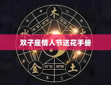 双子座情人节送花手册