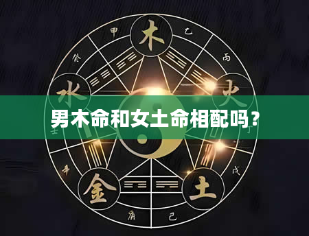 男木命和女土命相配吗？