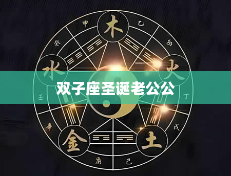 双子座圣诞老公公