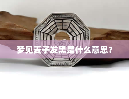梦见麦子发黑是什么意思？