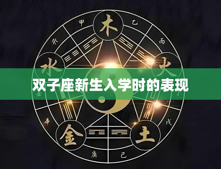 双子座新生入学时的表现