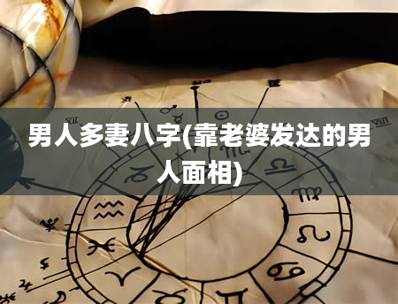 男人多妻八字(靠老婆发达的男人面相)