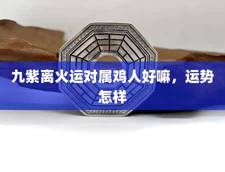 九紫离火运对属鸡人好嘛，运势怎样