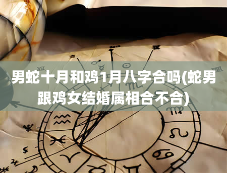 男蛇十月和鸡1月八字合吗(蛇男跟鸡女结婚属相合不合)
