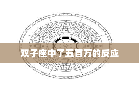 双子座中了五百万的反应