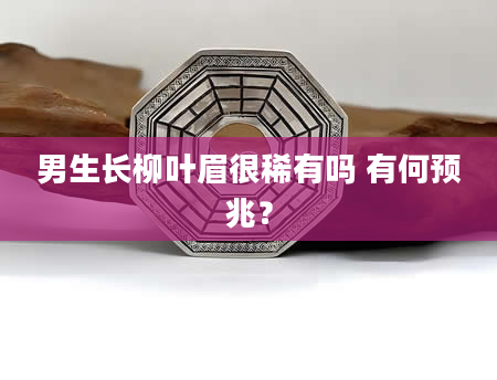 男生长柳叶眉很稀有吗 有何预兆？