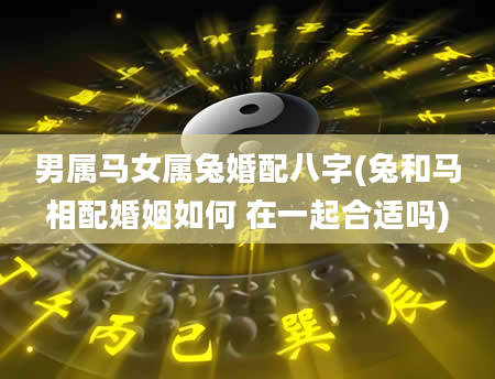 男属马女属兔婚配八字(兔和马相配婚姻如何 在一起合适吗)