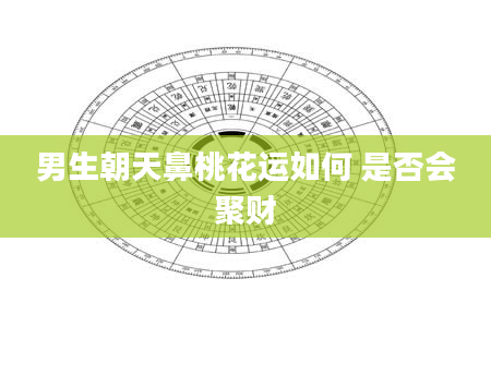 男生朝天鼻桃花运如何 是否会聚财