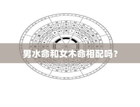 男水命和女木命相配吗？