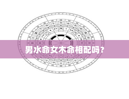 男水命女木命相配吗？