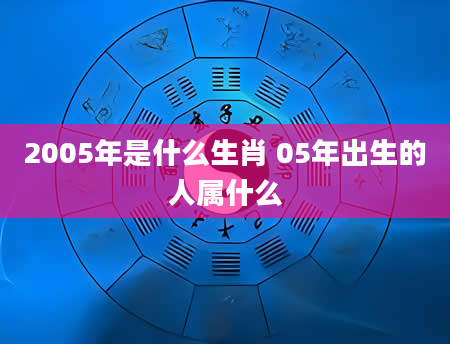 2005年是什么生肖 05年出生的人属什么