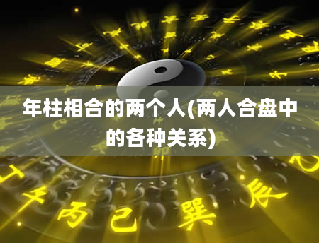年柱相合的两个人(两人合盘中的各种关系)