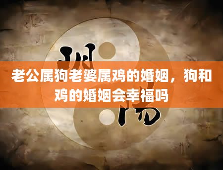 老公属狗老婆属鸡的婚姻，狗和鸡的婚姻会幸福吗