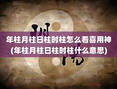 年柱月柱日柱时柱怎么看喜用神(年柱月柱日柱时柱什么意思)