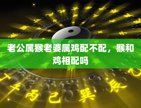 老公属猴老婆属鸡配不配，猴和鸡相配吗