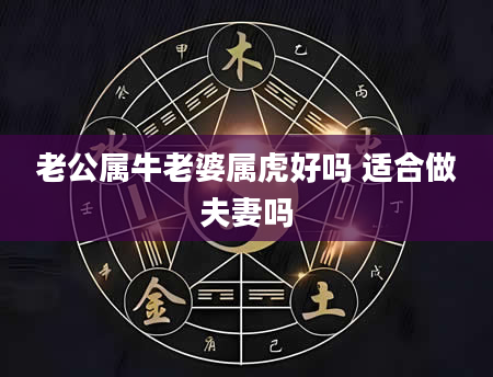 老公属牛老婆属虎好吗 适合做夫妻吗
