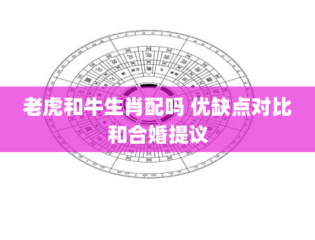 老虎和牛生肖配吗 优缺点对比和合婚提议