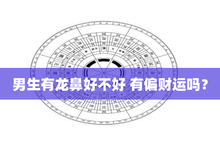 男生有龙鼻好不好 有偏财运吗？