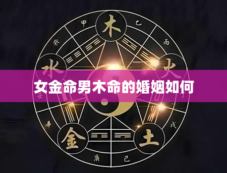 女金命男木命的婚姻如何
